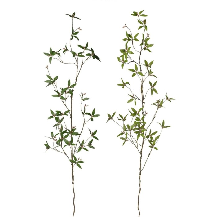 RAMO RUSCUS H110 2ASSORTITI